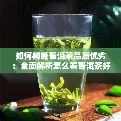 如何判断普洱茶品质优劣：全面解析怎么看普洱茶好坏