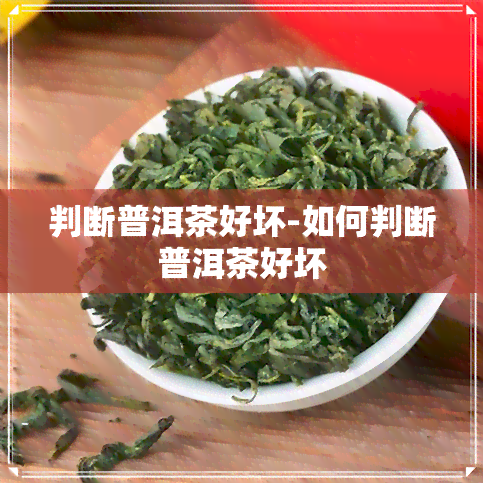 判断普洱茶好坏-如何判断普洱茶好坏