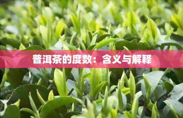 普洱茶的度数：含义与解释