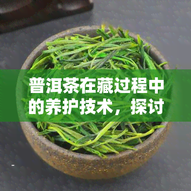 普洱茶在藏过程中的养护技术，探讨普洱茶存养护技术：如何让茶叶保持品质