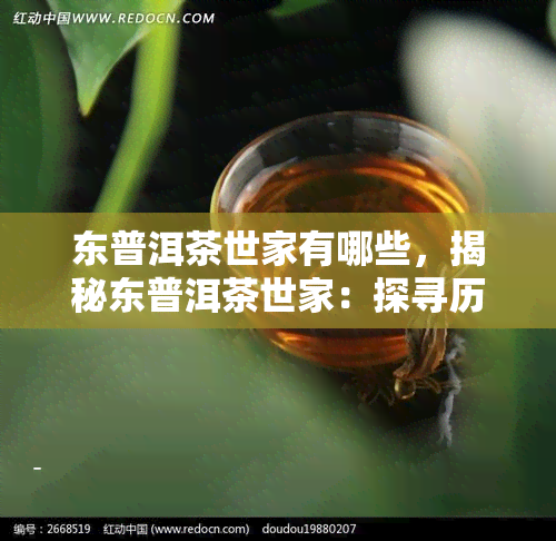 东普洱茶世家有哪些，揭秘东普洱茶世家：探寻历悠久的茶文化底蕴