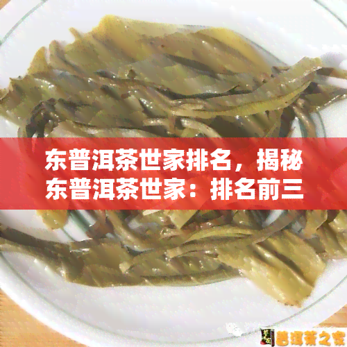 东普洱茶世家排名，揭秘东普洱茶世家：排名前三的是哪些？