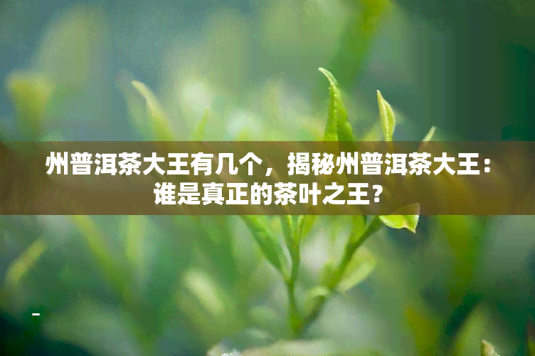 州普洱茶大王有几个，揭秘州普洱茶大王：谁是真正的茶叶之王？