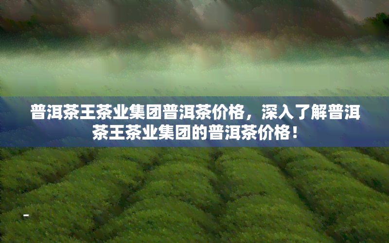 普洱茶王茶业集团普洱茶价格，深入了解普洱茶王茶业集团的普洱茶价格！