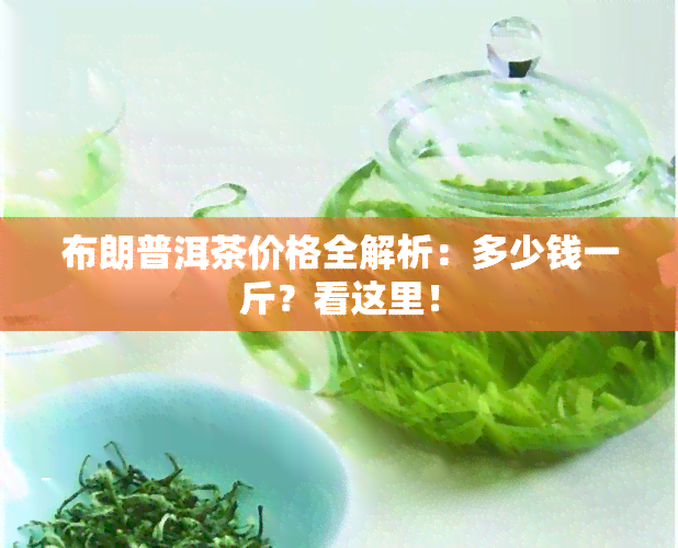 布朗普洱茶价格全解析：多少钱一斤？看这里！