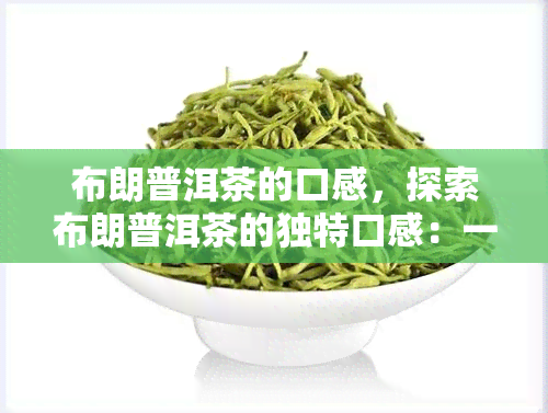 布朗普洱茶的口感，探索布朗普洱茶的独特口感：一种醇厚而丰富的饮茶体验