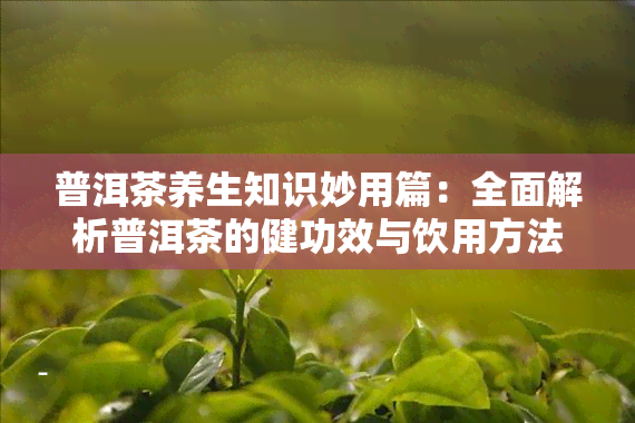 普洱茶养生知识妙用篇：全面解析普洱茶的健功效与饮用方法