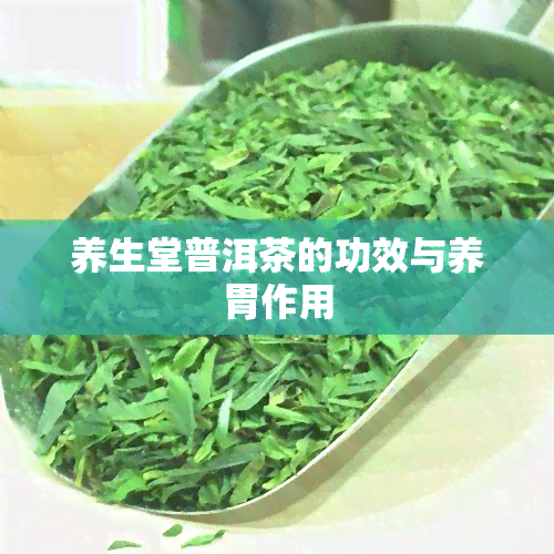 养生堂普洱茶的功效与养胃作用