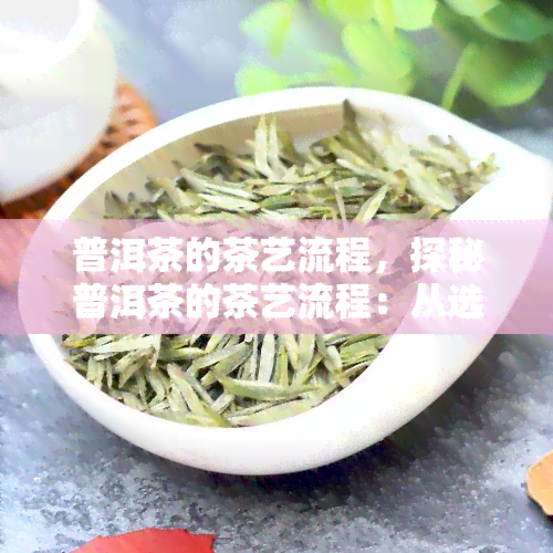 普洱茶的茶艺流程，探秘普洱茶的茶艺流程：从选茶到冲泡的每一个步骤