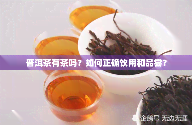 普洱茶有茶吗？如何正确饮用和品尝？