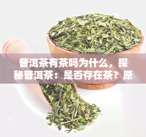 普洱茶有茶吗为什么，探秘普洱茶：是否存在茶？原因解析