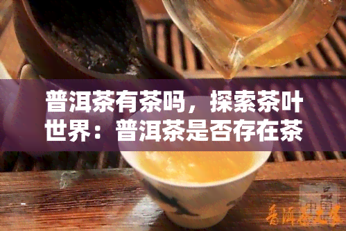 普洱茶有茶吗，探索茶叶世界：普洱茶是否存在茶？