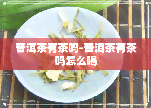 普洱茶有茶吗-普洱茶有茶吗怎么喝