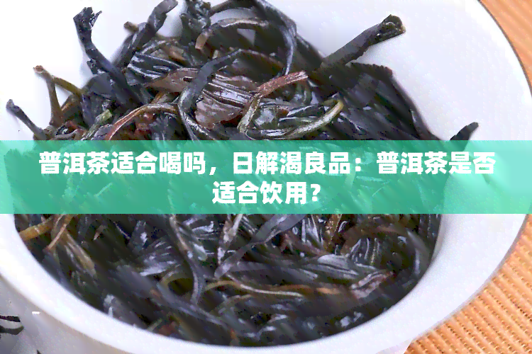 普洱茶适合喝吗，日解渴良品：普洱茶是否适合饮用？