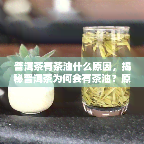 普洱茶有茶油什么原因，揭秘普洱茶为何会有茶油？原因解析