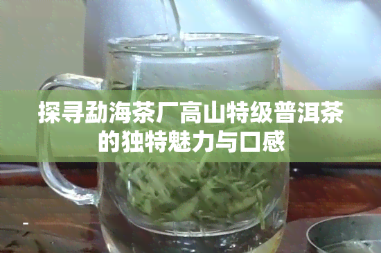 探寻勐海茶厂高山特级普洱茶的独特魅力与口感