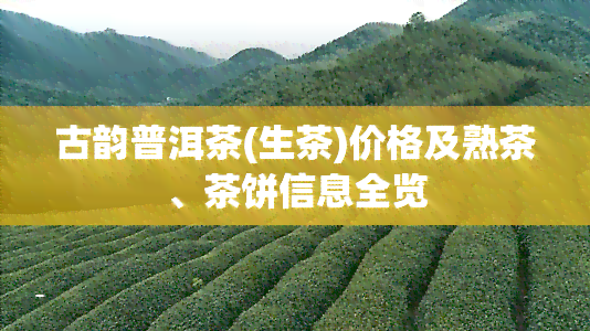 古韵普洱茶(生茶)价格及熟茶、茶饼信息全览