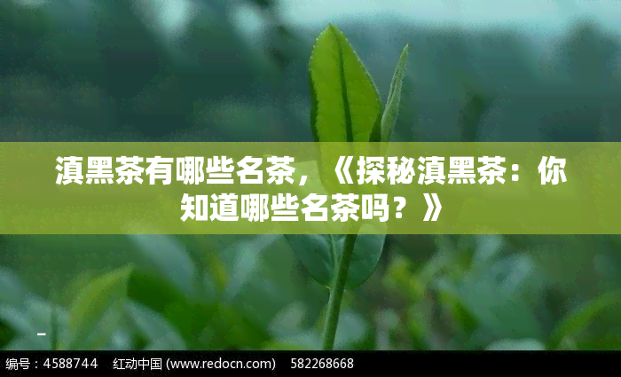 滇黑茶有哪些名茶，《探秘滇黑茶：你知道哪些名茶吗？》