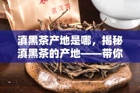 滇黑茶产地是哪，揭秘滇黑茶的产地——带你了解这一独特的茶叶品种