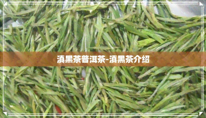 滇黑茶普洱茶-滇黑茶介绍