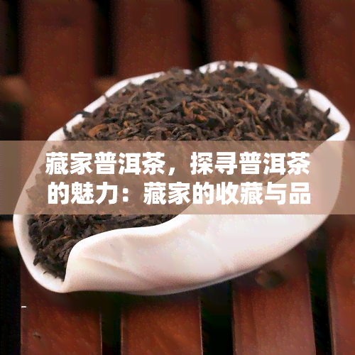 藏家普洱茶，探寻普洱茶的魅力：藏家的收藏与品鉴体验