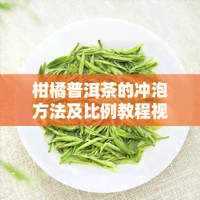 柑橘普洱茶的冲泡方法及比例教程视频