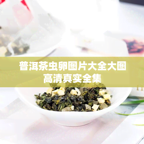 普洱茶虫卵图片大全大图高 *** 实全集