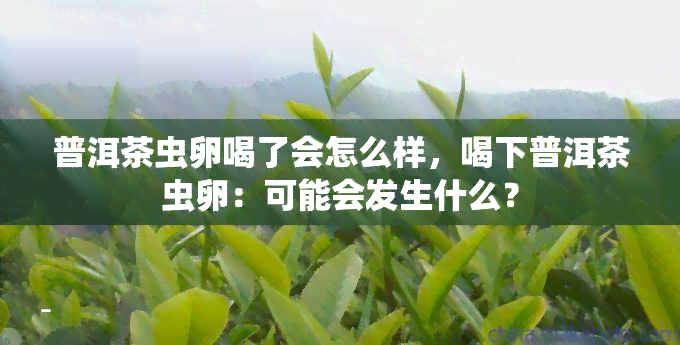 普洱茶虫卵喝了会怎么样，喝下普洱茶虫卵：可能会发生什么？