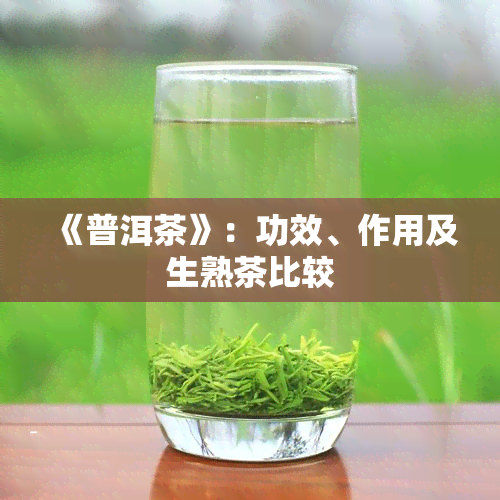 《普洱茶》：功效、作用及生熟茶比较