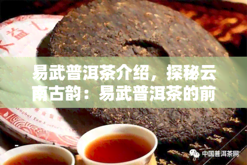 易武普洱茶介绍，探秘云南古韵：易武普洱茶的前世今生与独特魅力