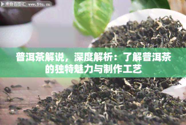 普洱茶解说，深度解析：了解普洱茶的独特魅力与制作工艺