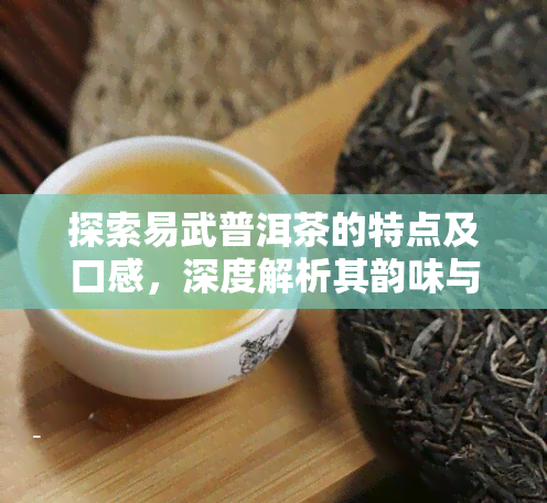 探索易武普洱茶的特点及口感，深度解析其韵味与魅力