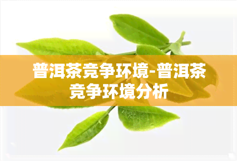 普洱茶竞争环境-普洱茶竞争环境分析