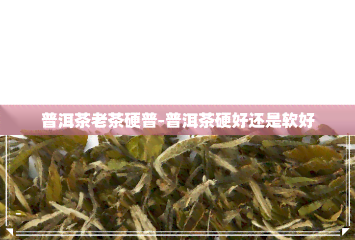 普洱茶老茶硬普-普洱茶硬好还是软好