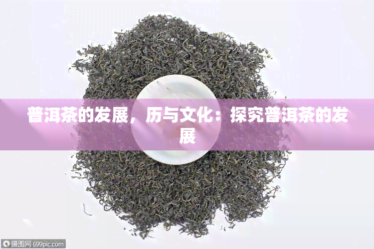 普洱茶的发展，历与文化：探究普洱茶的发展