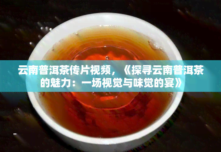 云南普洱茶传片视频，《探寻云南普洱茶的魅力：一场视觉与味觉的宴》