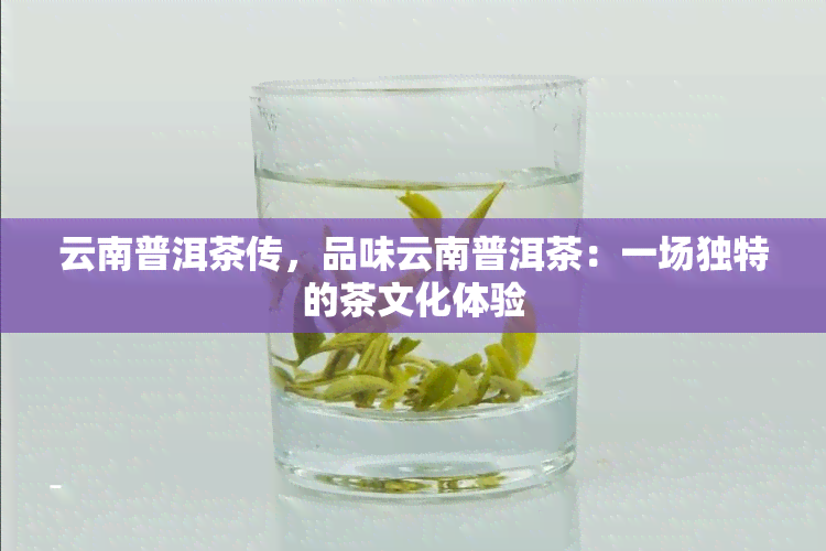 云南普洱茶传，品味云南普洱茶：一场独特的茶文化体验