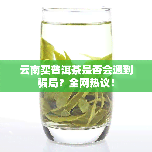 云南买普洱茶是否会遇到骗局？全网热议！