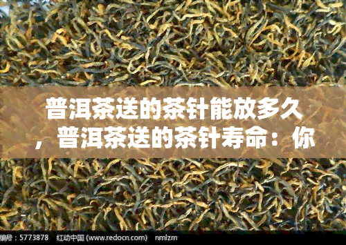 普洱茶送的茶针能放多久，普洱茶送的茶针寿命：你能保存多久？