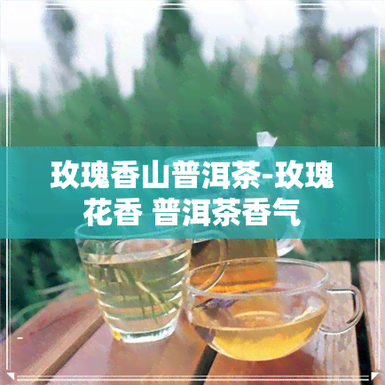 玫瑰香山普洱茶-玫瑰花香 普洱茶香气