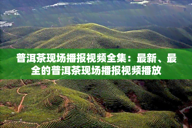 普洱茶现场播报视频全集：最新、最全的普洱茶现场播报视频播放