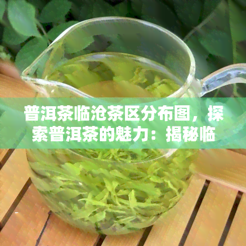 普洱茶临沧茶区分布图，探索普洱茶的魅力：揭秘临沧茶区分布全貌