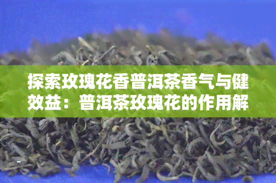 探索玫瑰花香普洱茶香气与健效益：普洱茶玫瑰花的作用解析