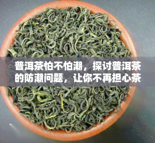 普洱茶怕不怕潮，探讨普洱茶的防潮问题，让你不再担心茶叶受潮！