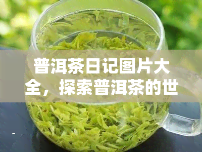 普洱茶日记图片大全，探索普洱茶的世界：普洱茶日记图片大全