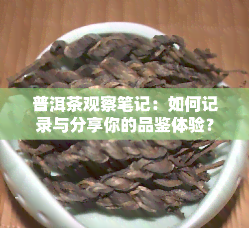 普洱茶观察笔记：如何记录与分享你的品鉴体验？