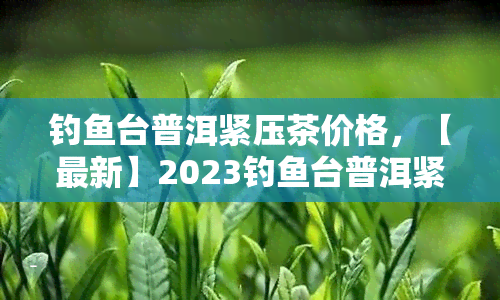 钓鱼台普洱紧压茶价格，【最新】2023钓鱼台普洱紧压茶价格表一览，你想知道的都在这里！