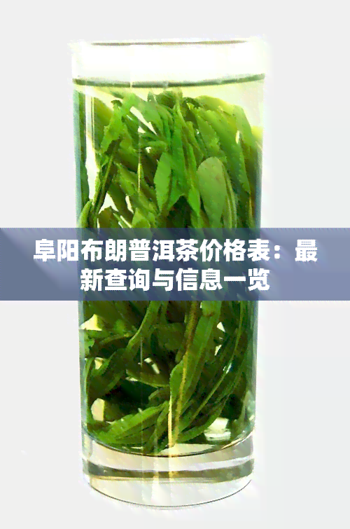 阜阳布朗普洱茶价格表：最新查询与信息一览