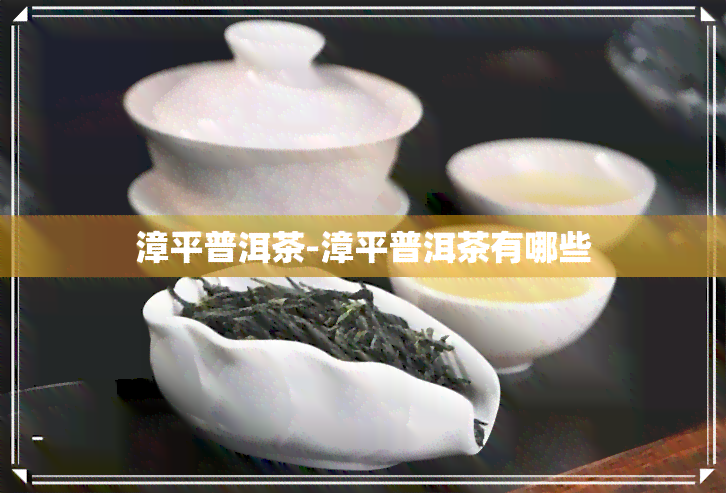 漳平普洱茶-漳平普洱茶有哪些