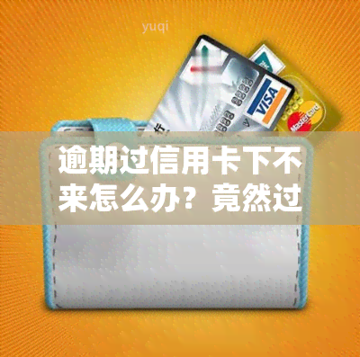 逾期过信用卡下不来怎么办？竟然过了！下卡攻略大揭秘！